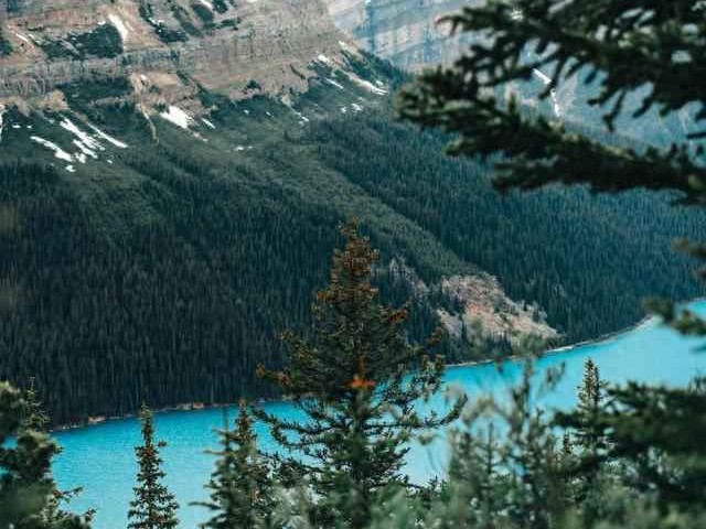 穿衣搭配技巧：33毫秒内，你的形象如何决定社交成败