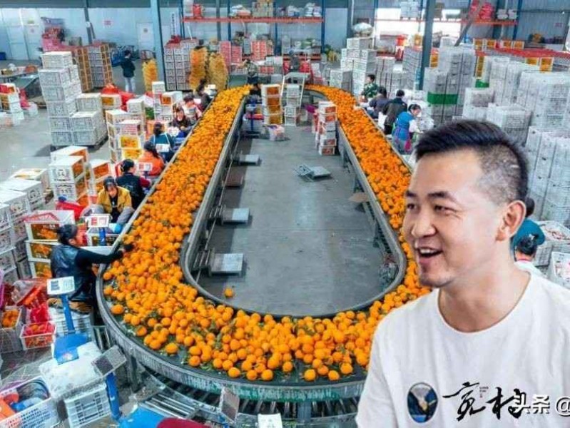 乡村穿衣搭配别再让小农户单打独斗！农村经营主体这样搭配，现代农业路更宽